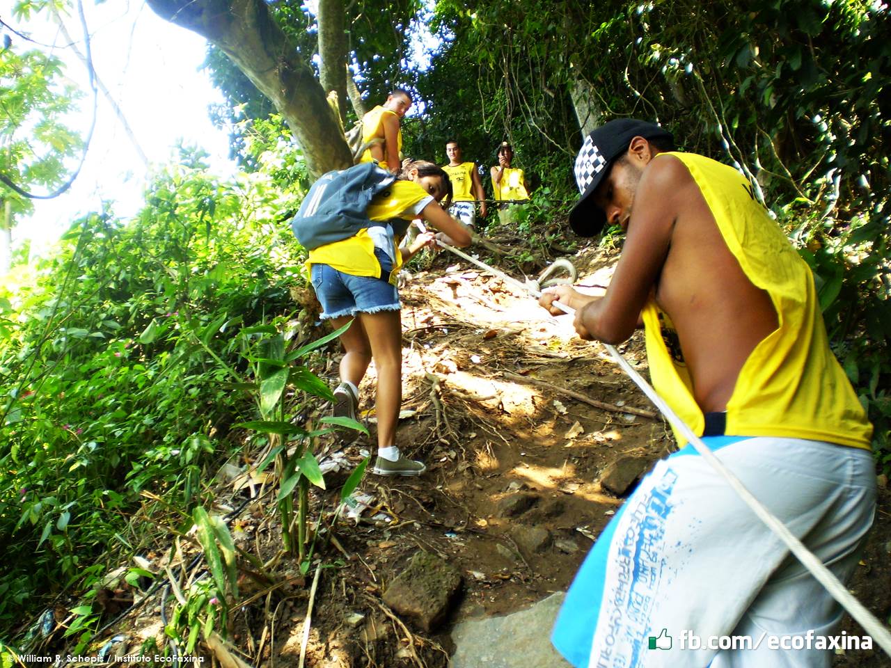 Voluntary Actions