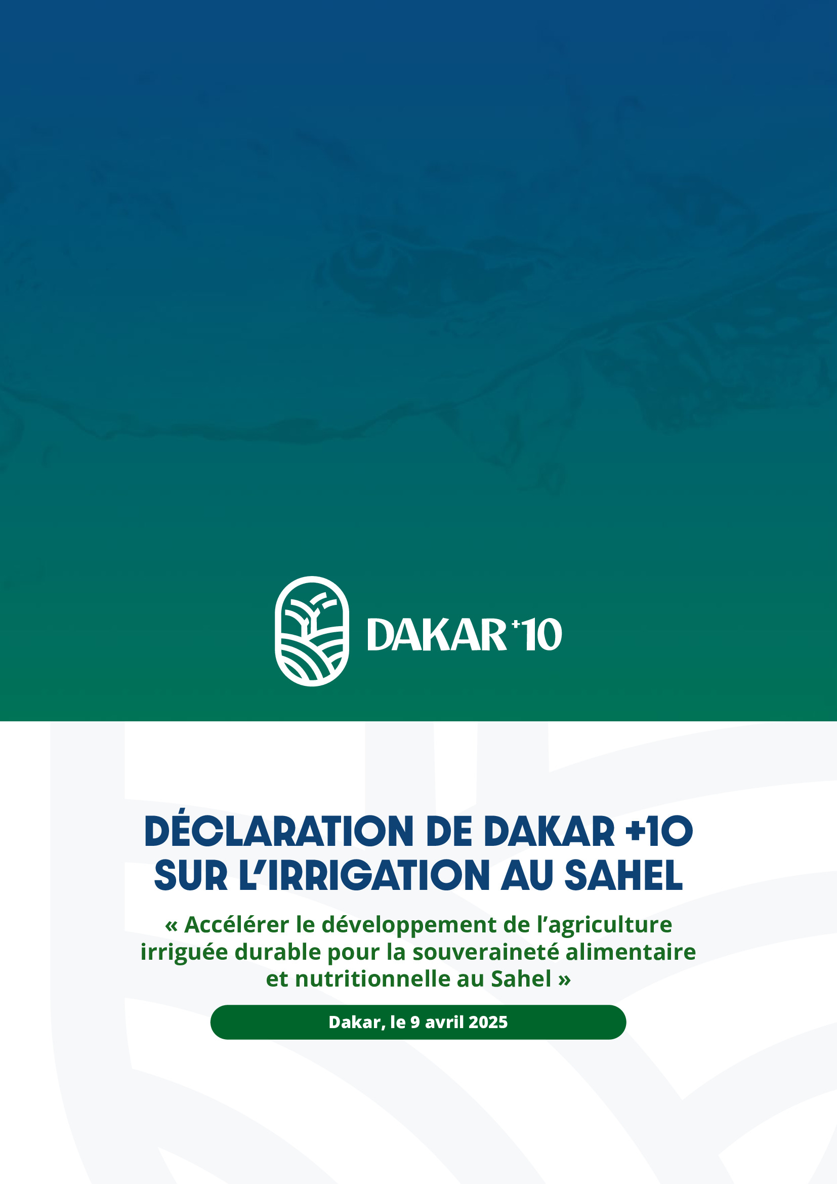 Forum Dakar+10.: D&eacute;claration de Dakar