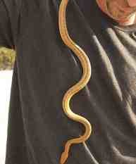 Eric Crawford, Senior Scientist at SFWMD