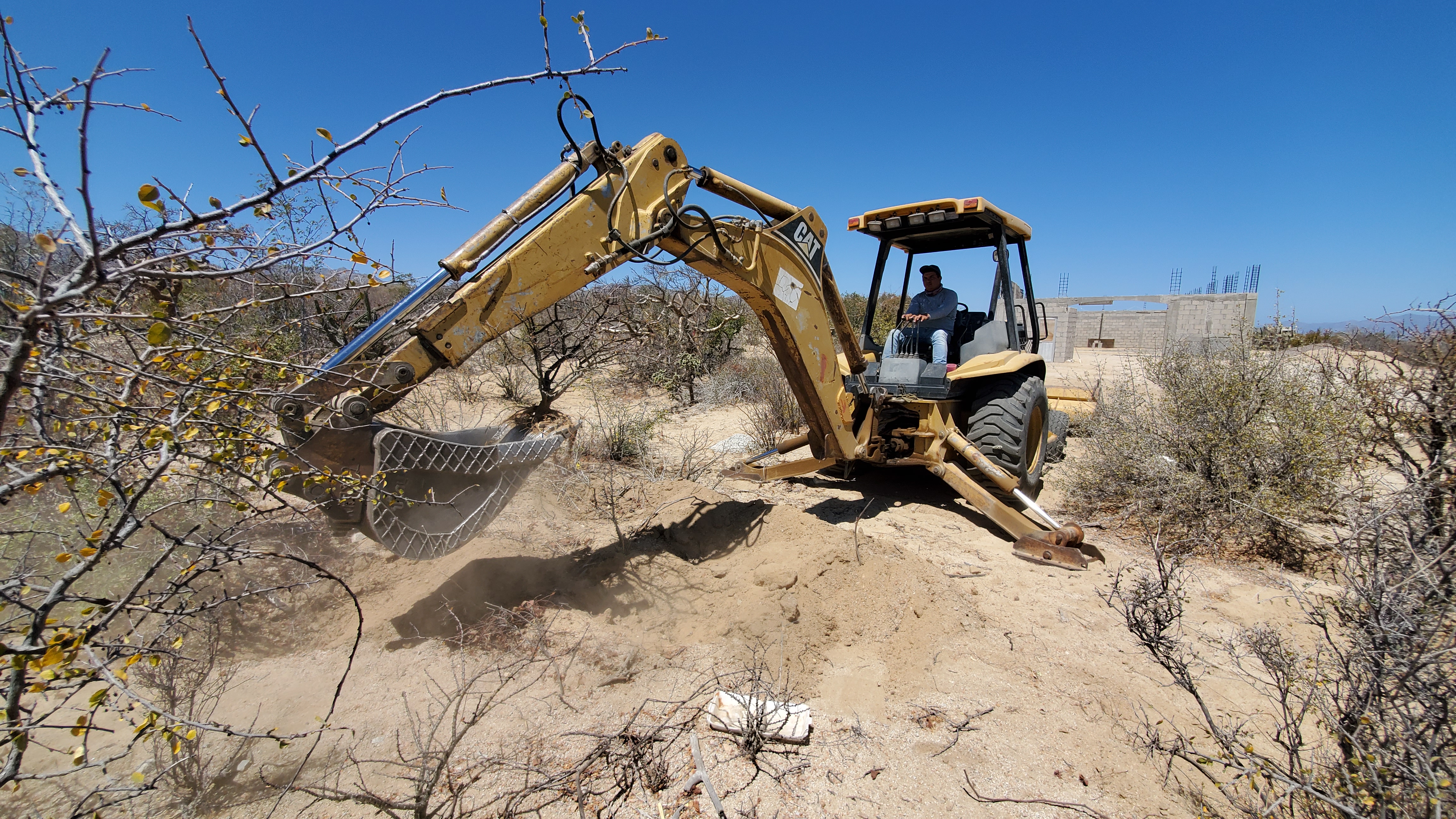Water & Aquatic System - Coaching, Resource Development & Habitat Management