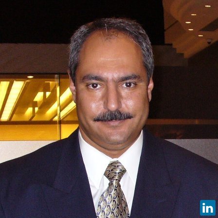 Tarek El-Shafie, Sales and Marketing Consultant