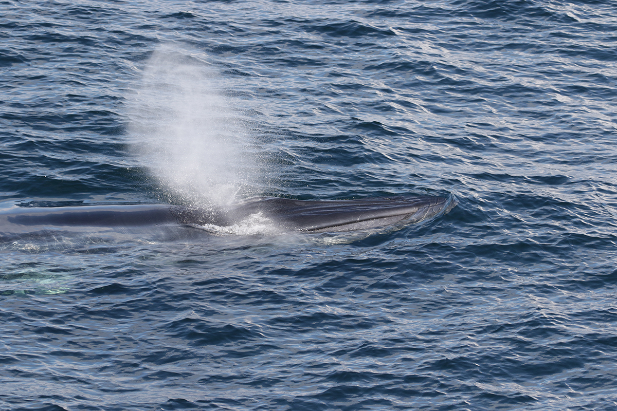 This Week in Water for April 5, 2026