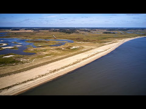 Restoration and resilience post disaster (Video)