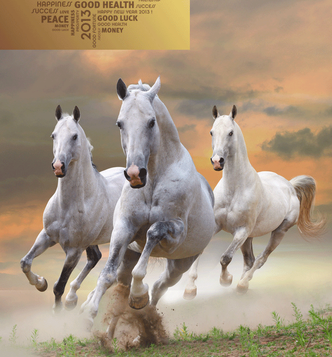 Usuman  Galadima, Claims and Recovering Commission - Financial Controller