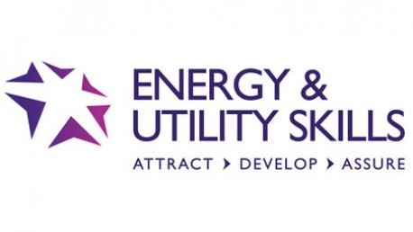 Energy & Utility Skills