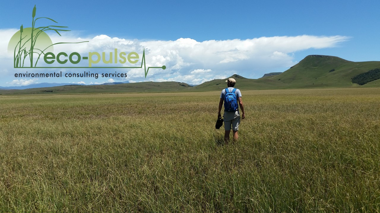 Environmental Consulting Services