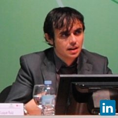 Francisco Javier Luque Ruiz, Freelance on Management of Research & Innovation Projects