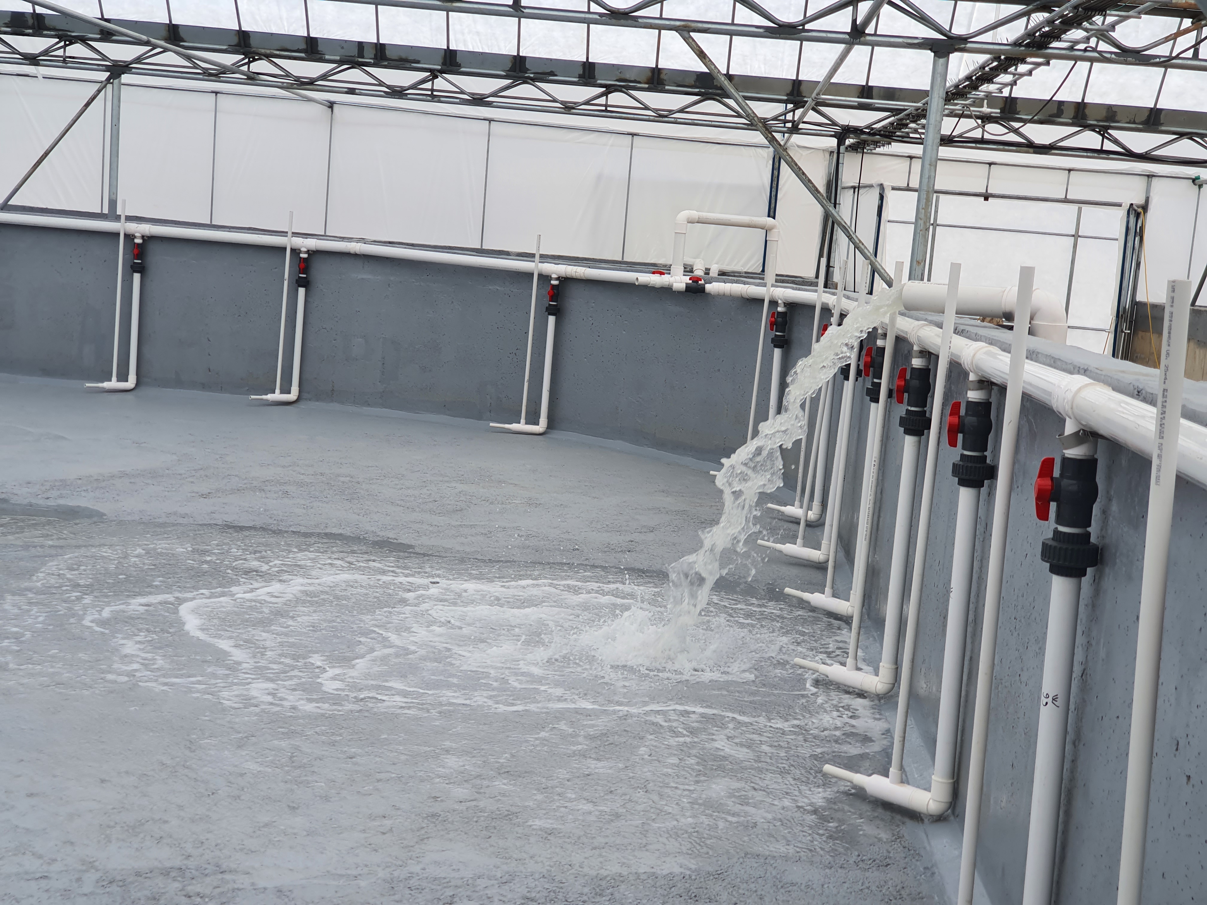 KAMI SYS - Super Intensive Indoor Shrimp Farming Technology
