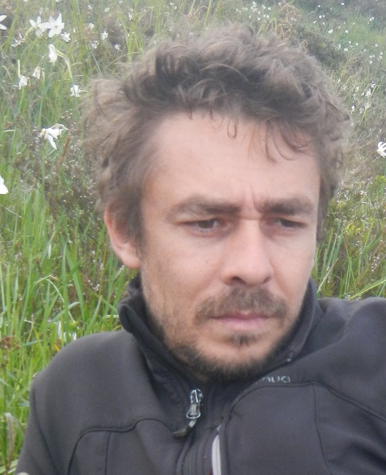 Toth Szilard, CEO at SC Toth si Feur MHC SRL