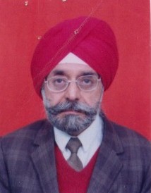 RAVINDER BIR SINGH FIE FIIA MIRC MIABSE, RBS INDEPENDENT CONSULTANTS  - Chief Executive
