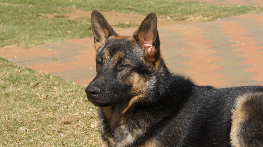 Clyde Eksteen, Currently Seeking Permanent Employment - Trainee PV Solar Installation Technician