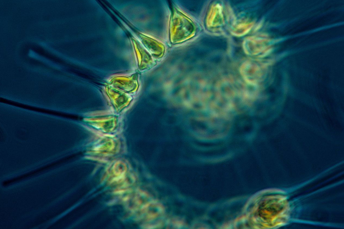 This Week in Water for May 31, 2026