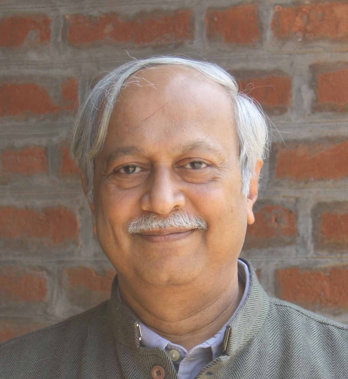 Dinesh Mehta, CEPT University - Professor