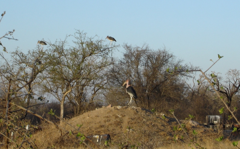 Solid waste management in Protected Areas South Africa