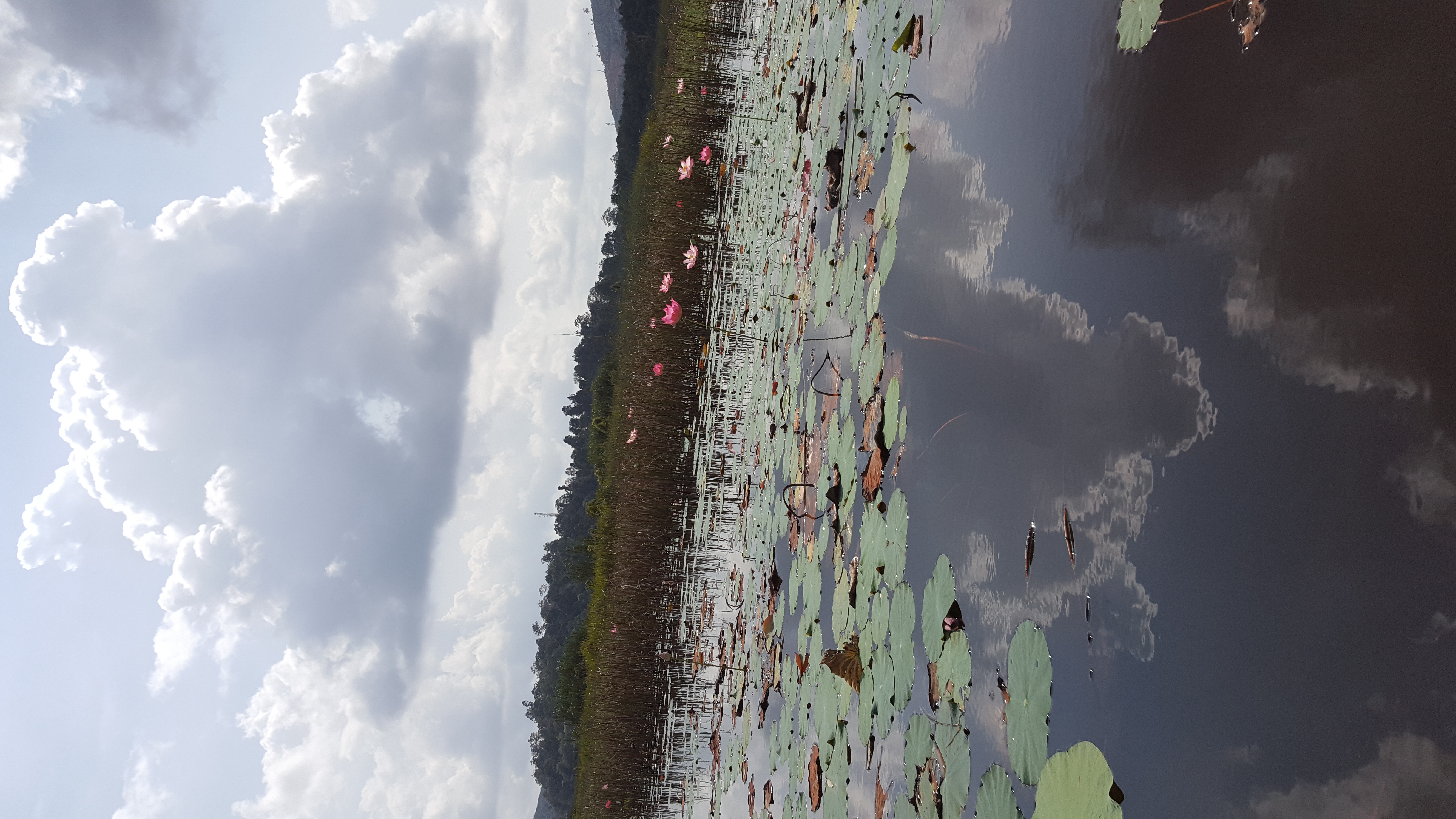 Lake Chini