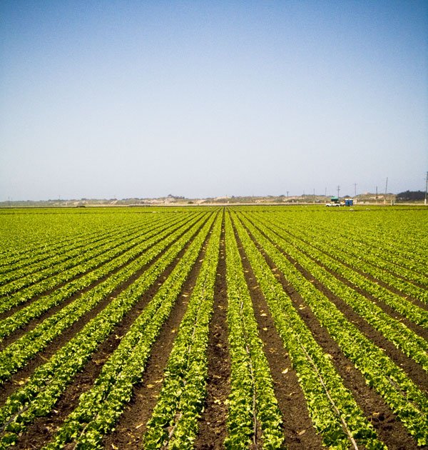 Crop Breeding Acceleration to Keep Pace with Changing Climate