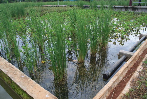 Constructed Wetlands for Treating Wastewater