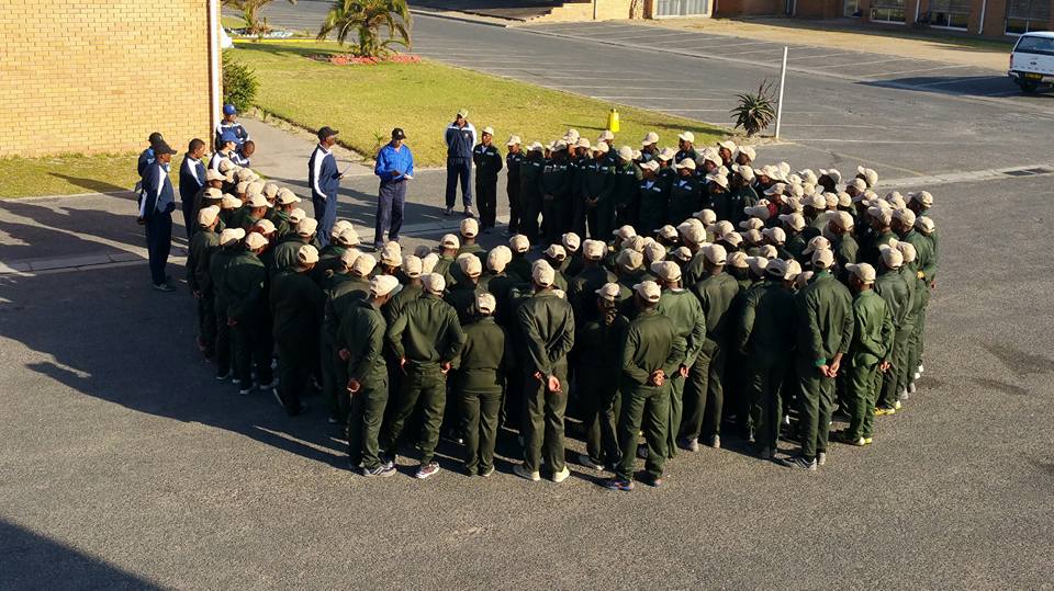 Cleanups In South Africa