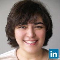 Fabienne Salimi, Process Safety Expert