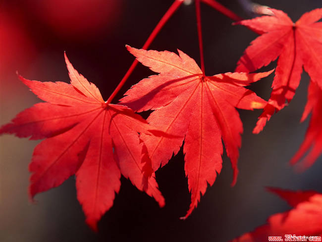 Stephan Feng, Kat Water Meter Company Limited - Marketing Director