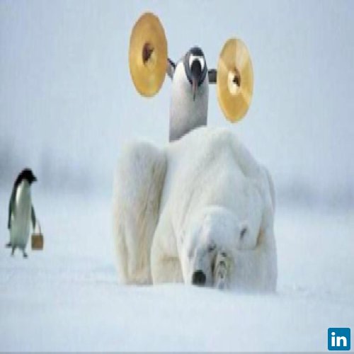 Paul Flanagan, Available for OSIsoft PI contract work from March.