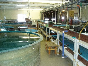 Marine Lab Awarded $6 Million