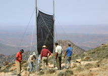 Fog net project in Morocco