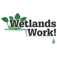 Wetlands Work! Inc