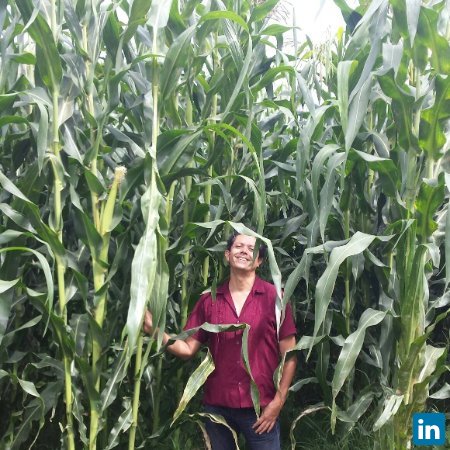 Alejandro Juárez Aguilar, Focal Point in Mexico of the Integrated Lake Basin Management Platform