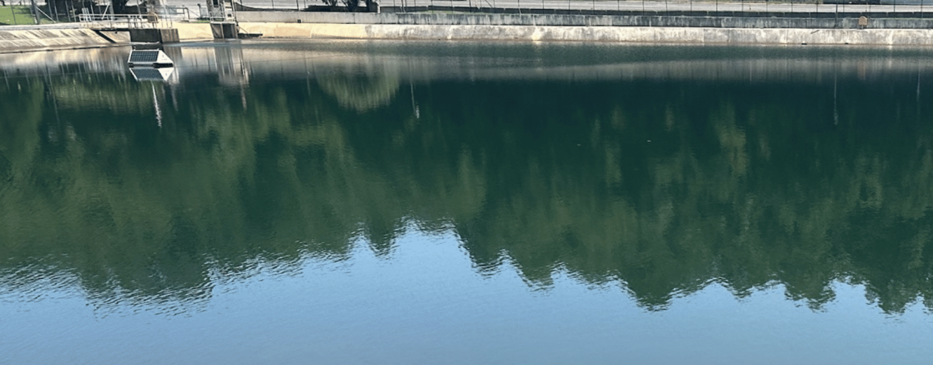 Chemical-free basin algae control in Alabama