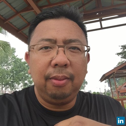 Sofian Salleh, Damini Corporation Sdn Bhd