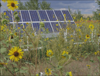 An Electric Fix for Removing Long-lasting Chemicals in Groundwater