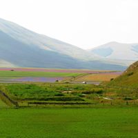 FRB CW for treatment of WW of Castelluccio di Norcia