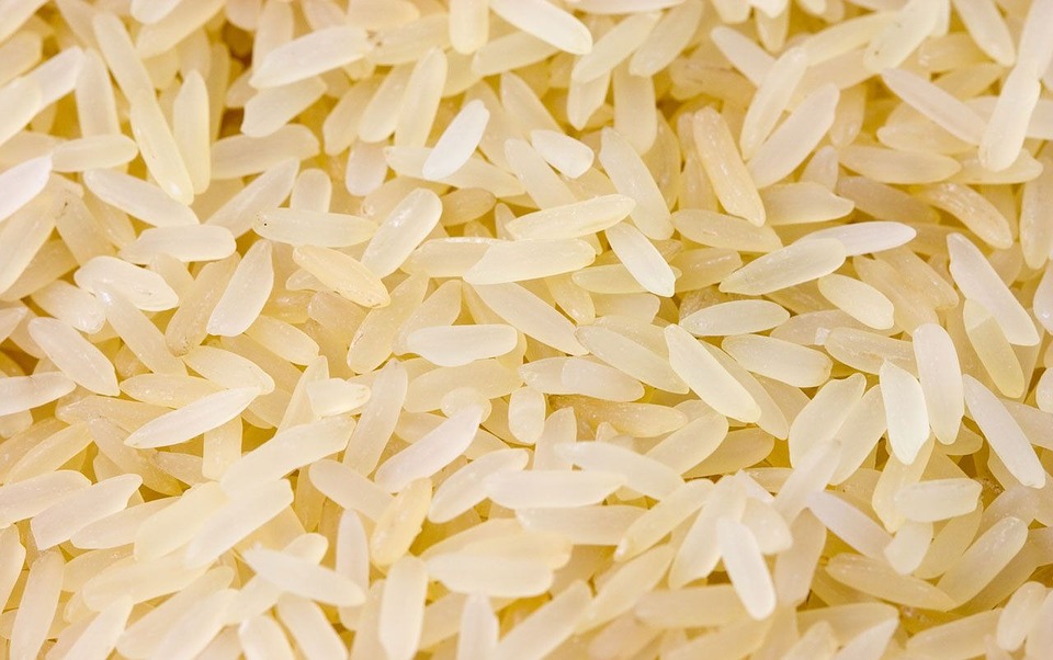 New Rice Fights Off Drought