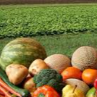 Anita Schumen, International Business development