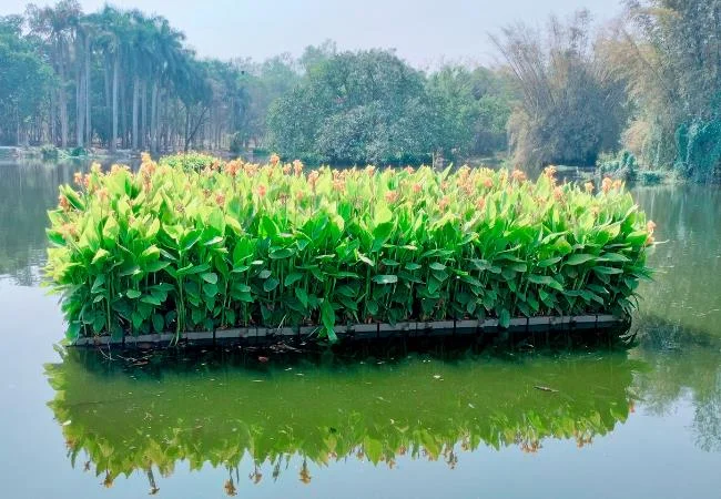 Lakes & Ponds – Treatment / Beautification- Floating Wetland Rafters