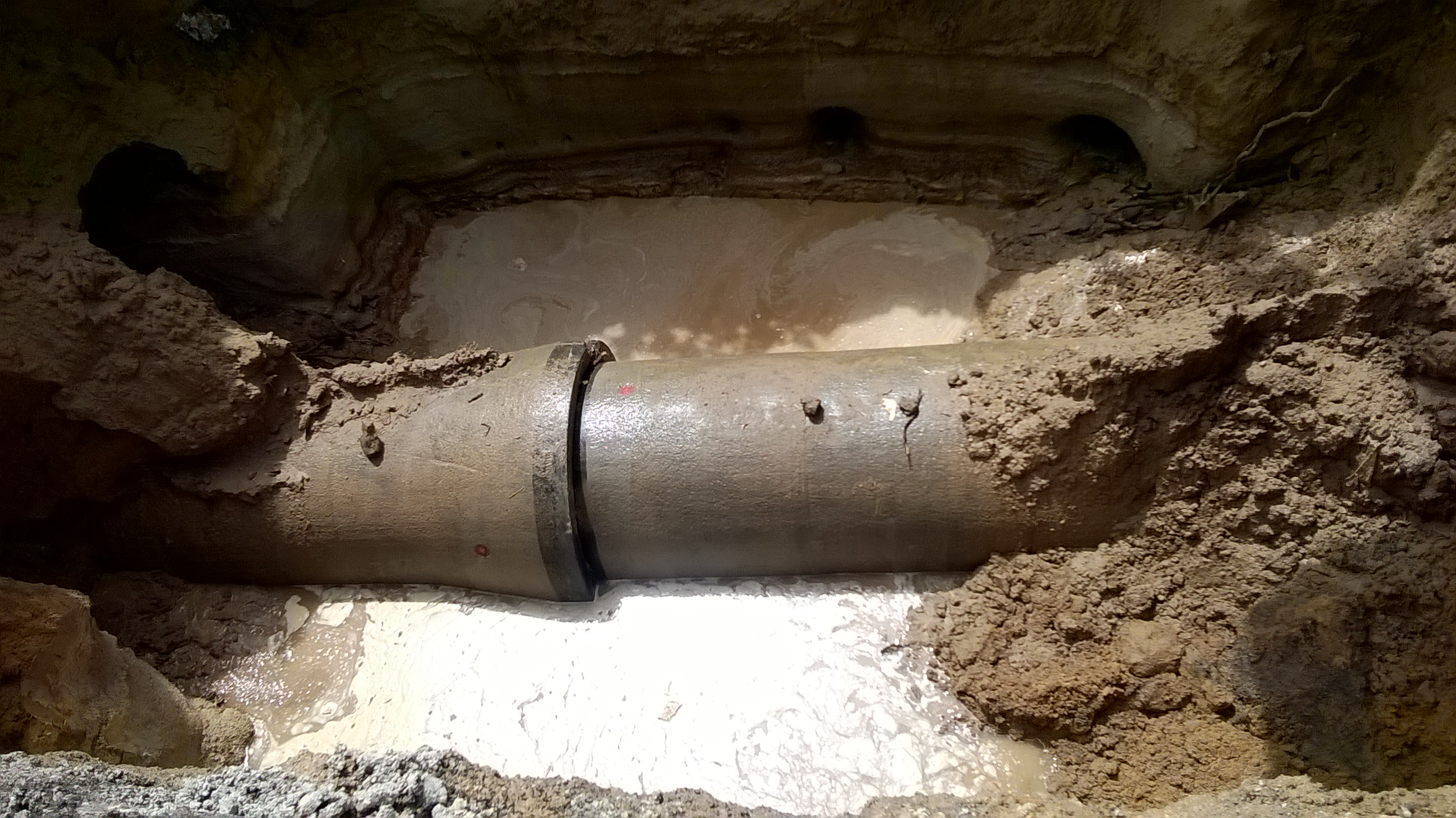leak diagnosis experiences