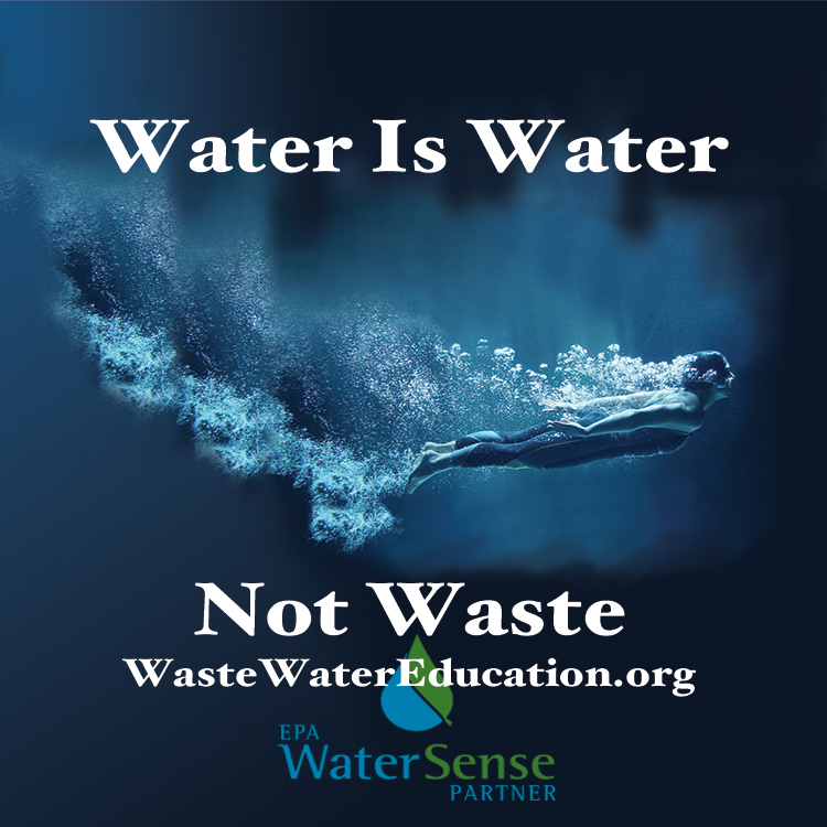 Distance Learning/online education platform provider, host and content creator