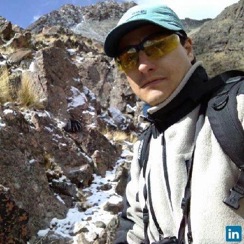 Álvaro Lambert Garrón, Consultor