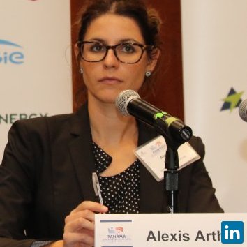 Alexis M. Arthur, Energy Policy Consultant