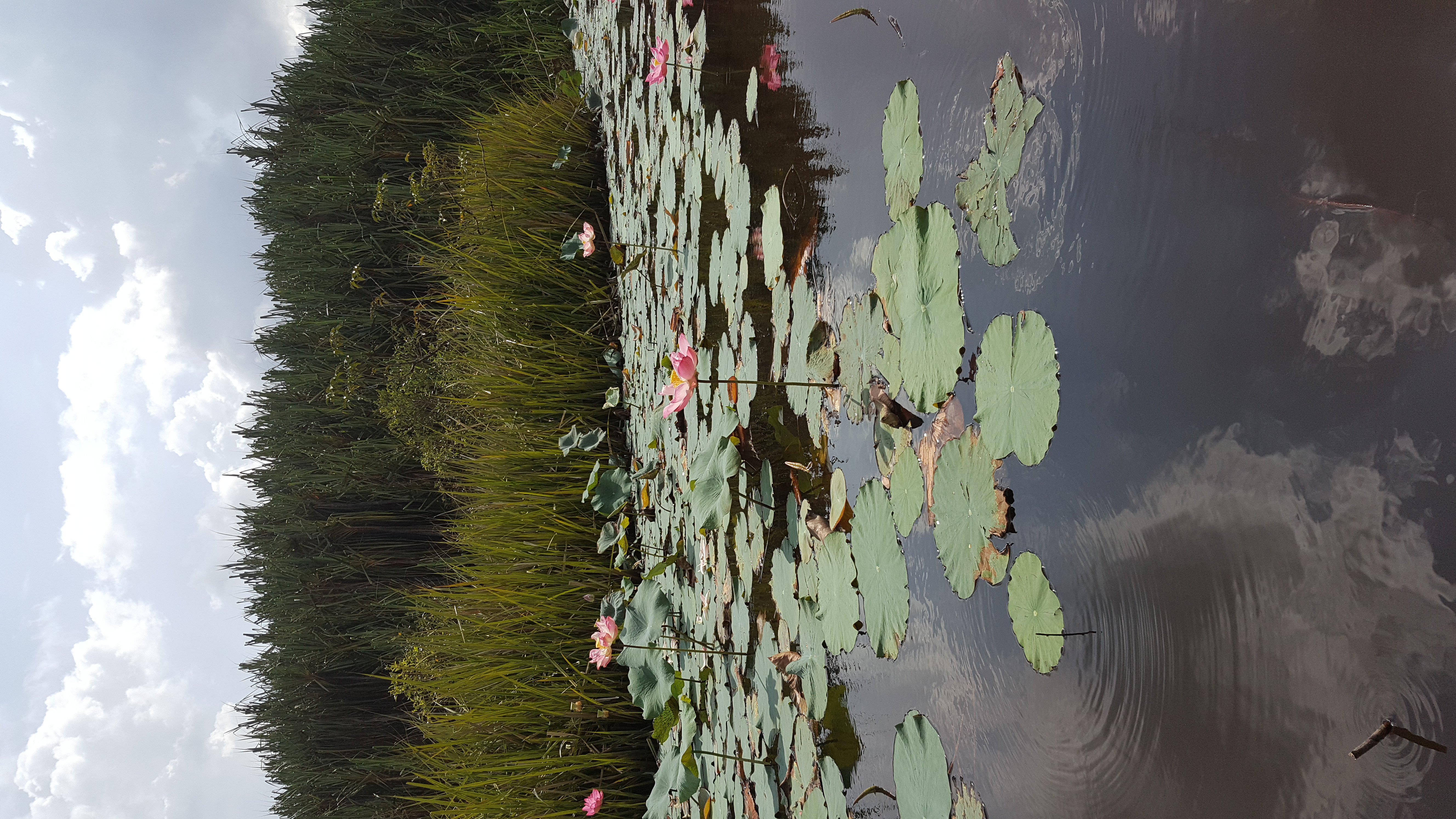 Lake Chini