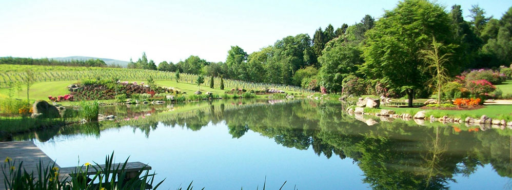 Water & Aquatic System - Coaching, Resource Development & Habitat Management