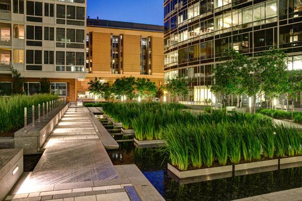 Green Infrastructure Sprouting Up
