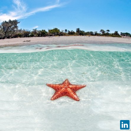 Jeff Ryu, General Manager at Aqua Sketch