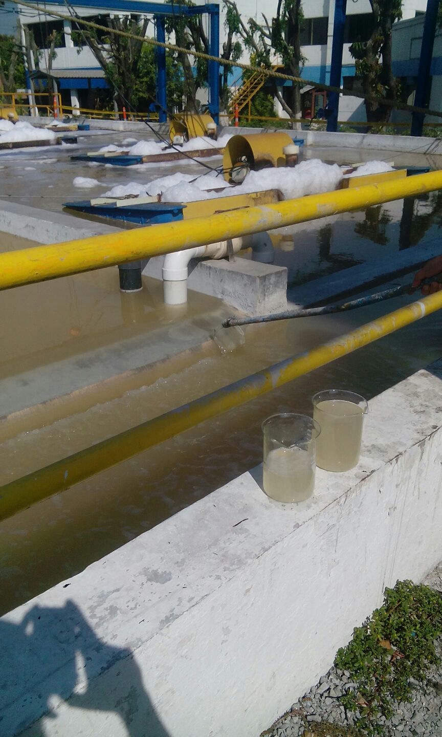 WWTP - CADECA - CHICKEN PROCESSING FACTORY
