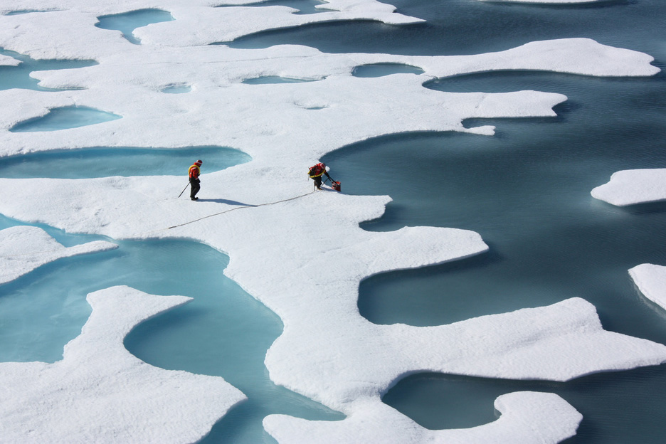 Freshwater Ecosystems in the Arctic