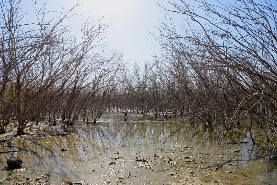 Water Shortage in Northern Israel Worst in Past 100 years