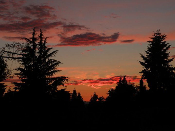 Nature Photos - Jillian Stewart