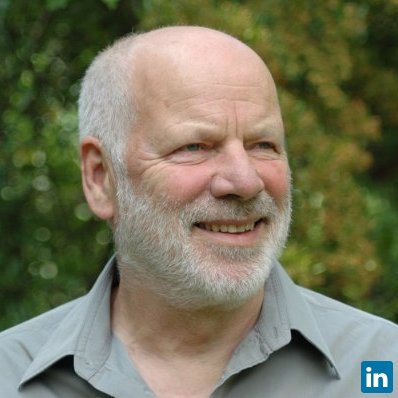 Rudolf Strasser, Consultant