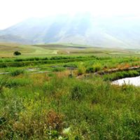 FRB CW for treatment of WW of Castelluccio di Norcia